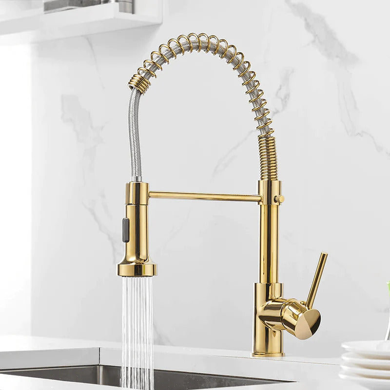 Grifo de cocina moderno con rociador extraíble de resorte