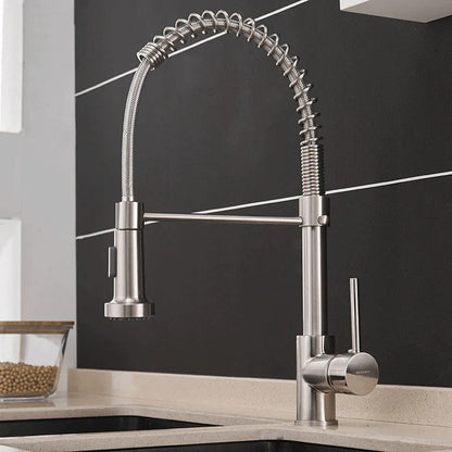 Grifo de cocina moderno con rociador extraíble de resorte