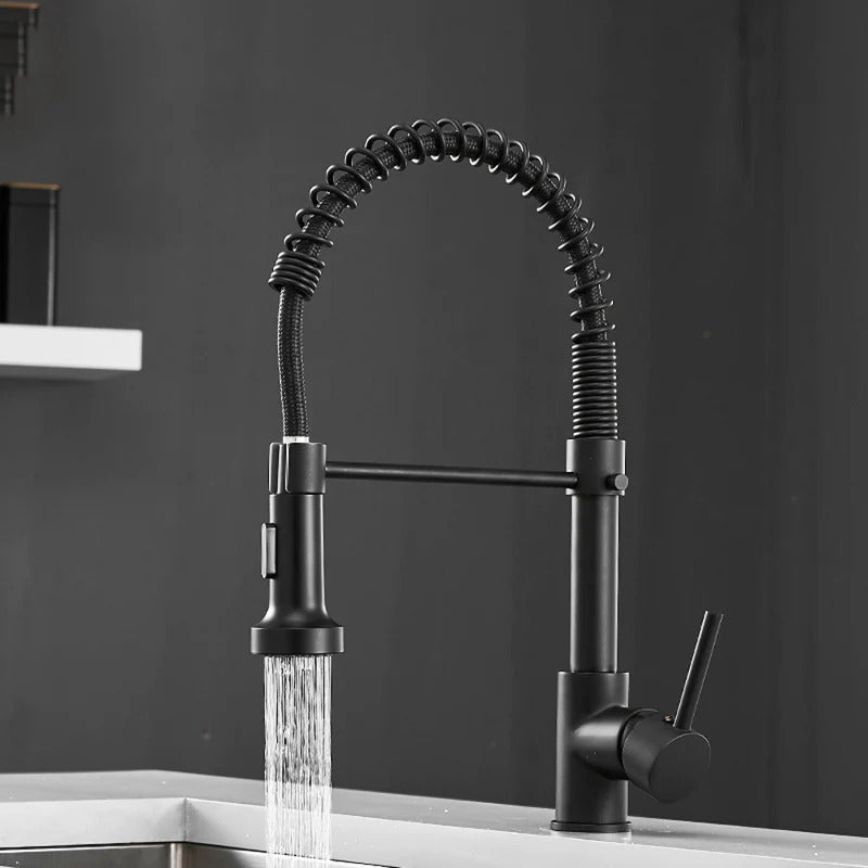 Grifo de cocina moderno con rociador extraíble de resorte