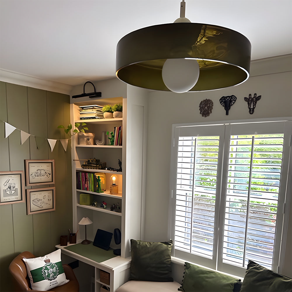 Lámpara colgante moderna de arte decorativo