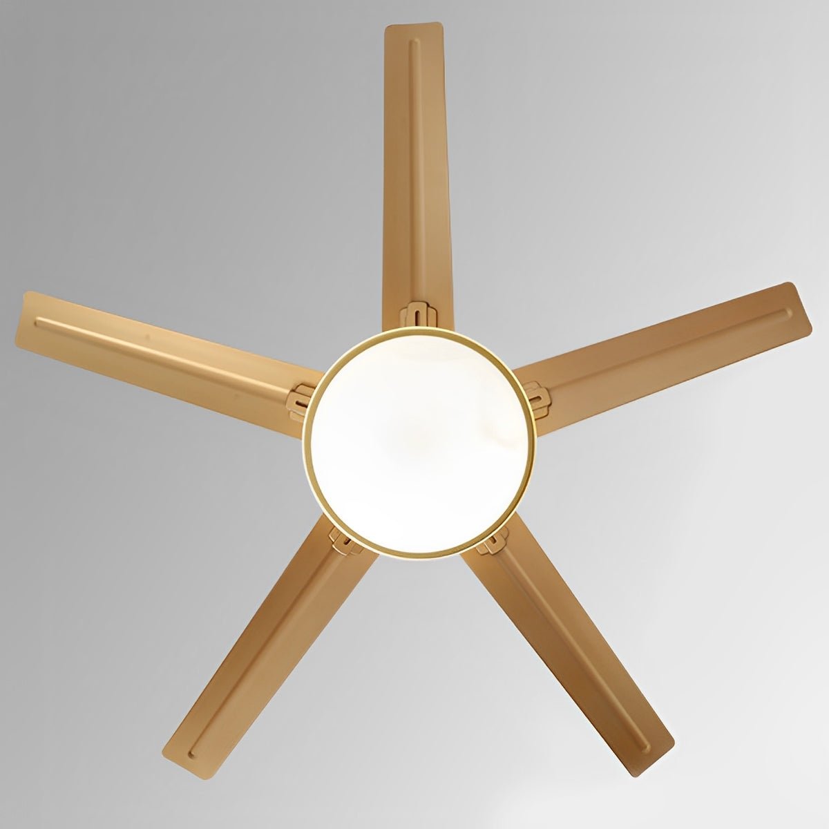 Ventilador de techo moderno con luz LED y 5 aspas